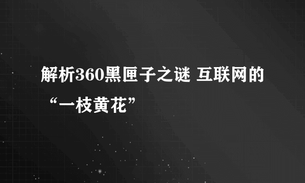 解析360黑匣子之谜 互联网的“一枝黄花”