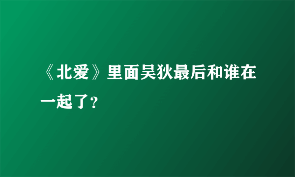 《北爱》里面吴狄最后和谁在一起了？