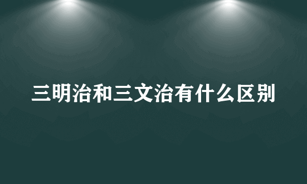 三明治和三文治有什么区别