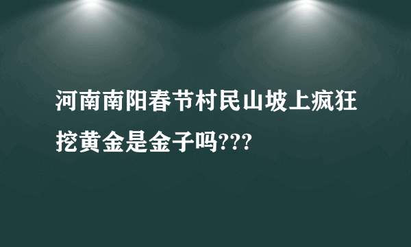 河南南阳春节村民山坡上疯狂挖黄金是金子吗???