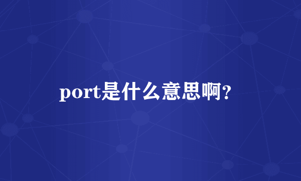 port是什么意思啊？