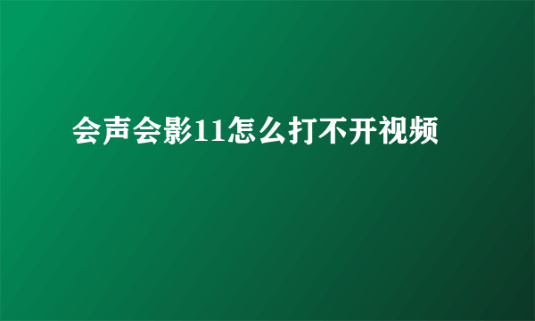 会声会影11怎么打不开视频