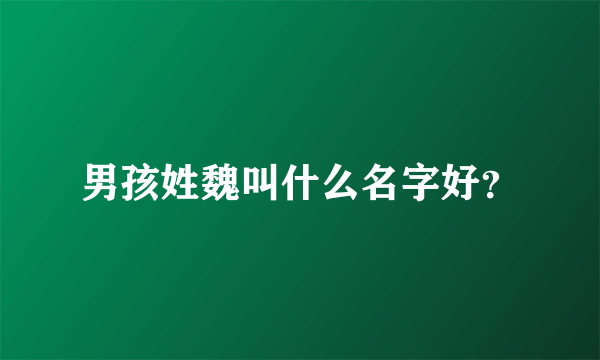 男孩姓魏叫什么名字好？