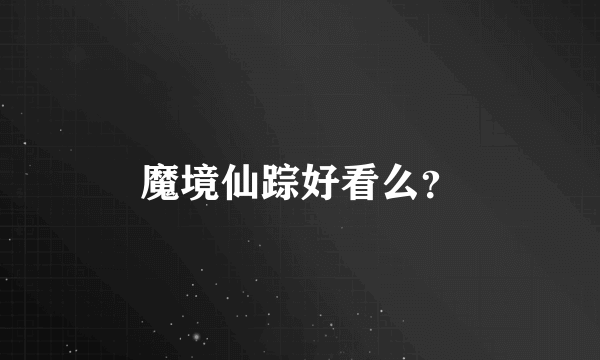 魔境仙踪好看么？