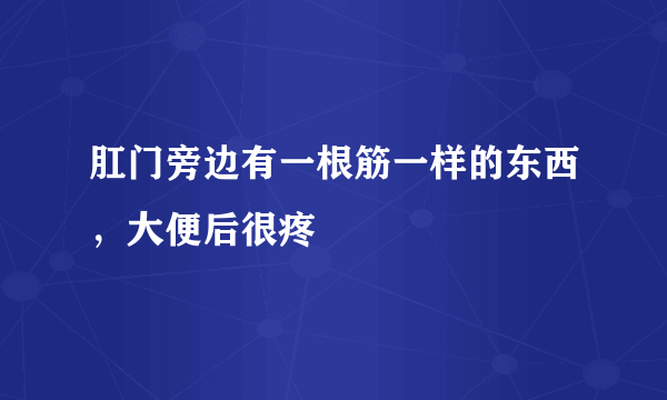 肛门旁边有一根筋一样的东西，大便后很疼