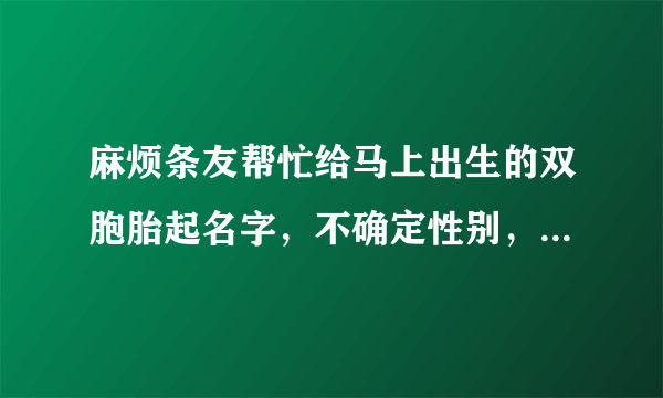 麻烦条友帮忙给马上出生的双胞胎起名字，不确定性别，本人姓袁？