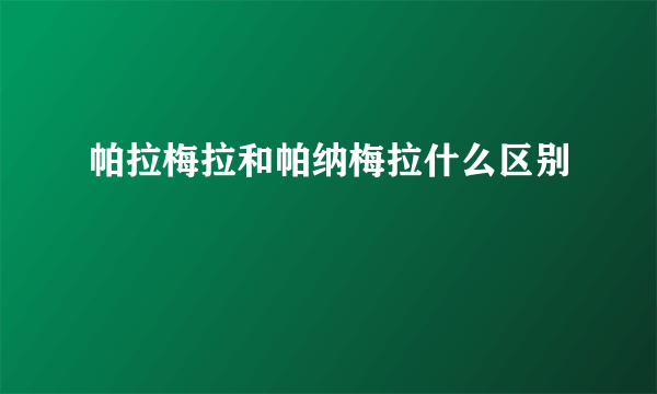 帕拉梅拉和帕纳梅拉什么区别