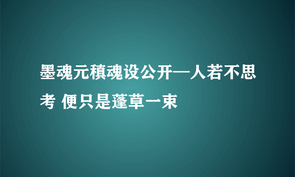 墨魂元稹魂设公开—人若不思考 便只是蓬草一束