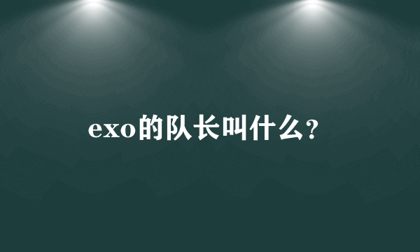 exo的队长叫什么？