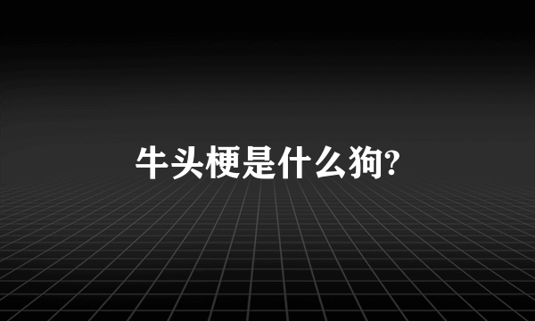 牛头梗是什么狗?