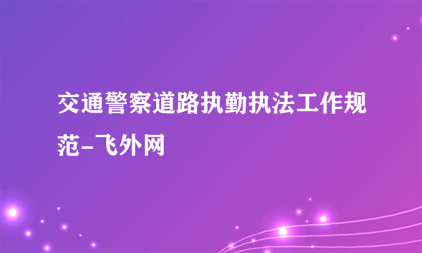 交通警察道路执勤执法工作规范-飞外网