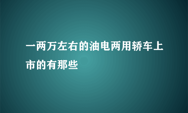 一两万左右的油电两用轿车上市的有那些