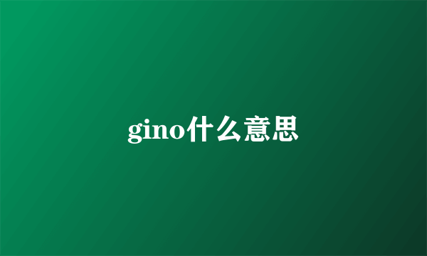 gino什么意思