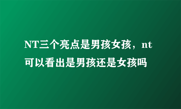 NT三个亮点是男孩女孩，nt可以看出是男孩还是女孩吗