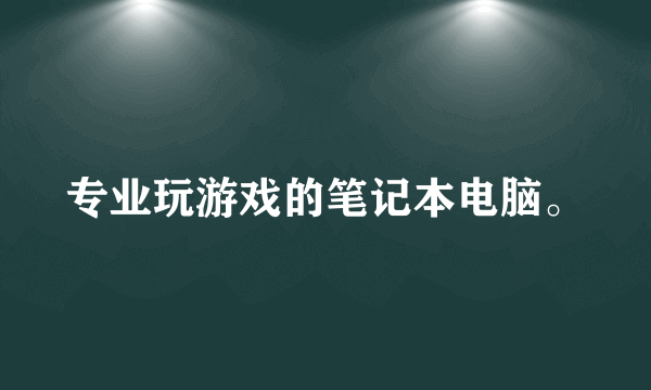 专业玩游戏的笔记本电脑。