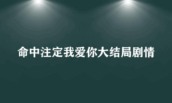 命中注定我爱你大结局剧情