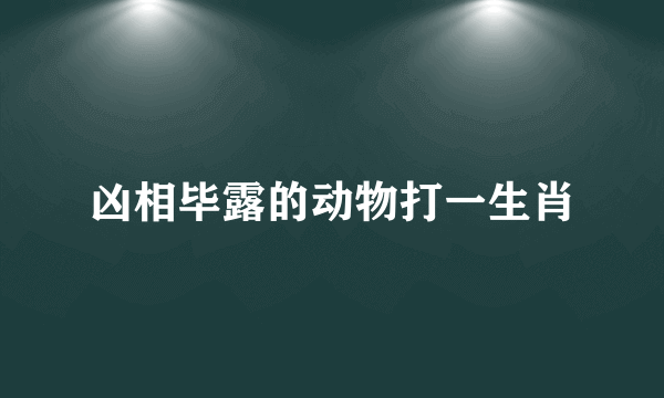 凶相毕露的动物打一生肖