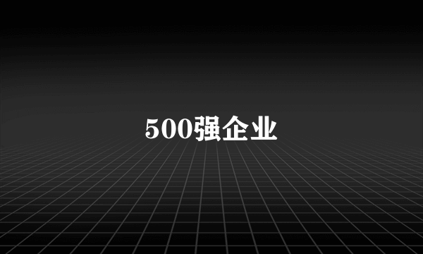 500强企业