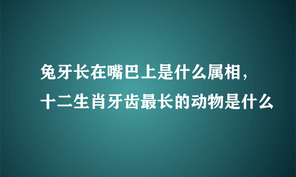 兔牙长在嘴巴上是什么属相，十二生肖牙齿最长的动物是什么