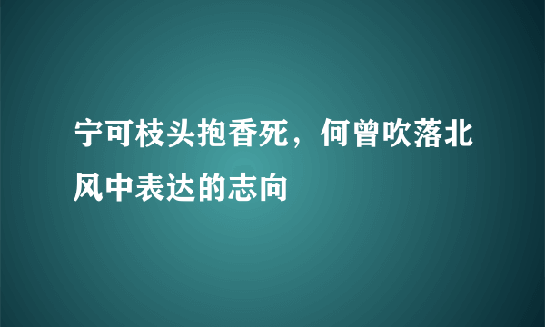 宁可枝头抱香死，何曾吹落北风中表达的志向