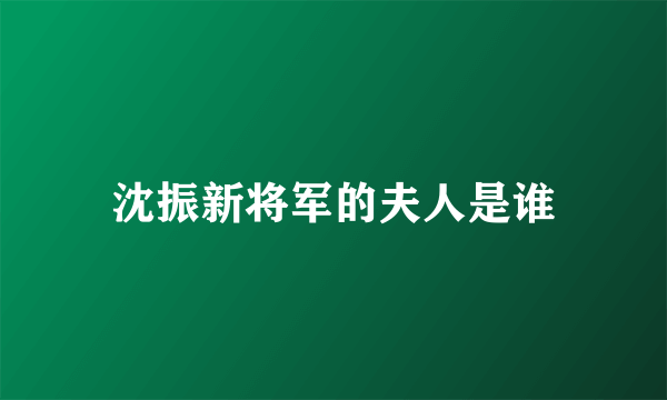 沈振新将军的夫人是谁