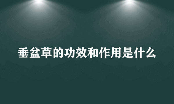 垂盆草的功效和作用是什么