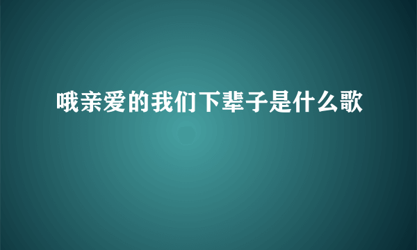 哦亲爱的我们下辈子是什么歌