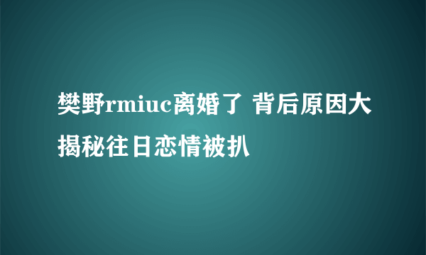 樊野rmiuc离婚了 背后原因大揭秘往日恋情被扒