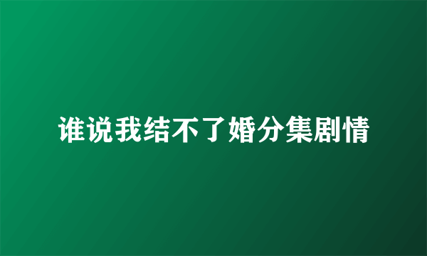 谁说我结不了婚分集剧情