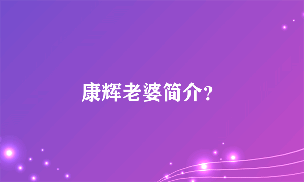 康辉老婆简介？