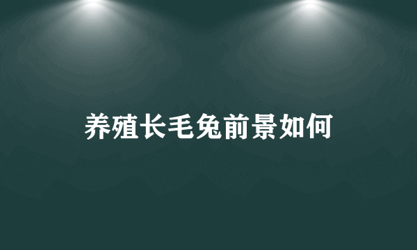 养殖长毛兔前景如何