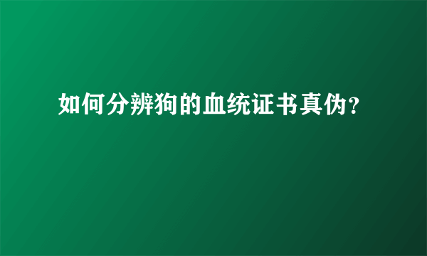 如何分辨狗的血统证书真伪？