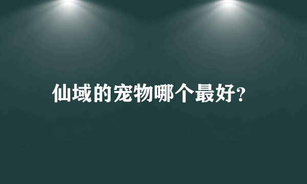 仙域的宠物哪个最好？