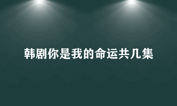 韩剧你是我的命运共几集