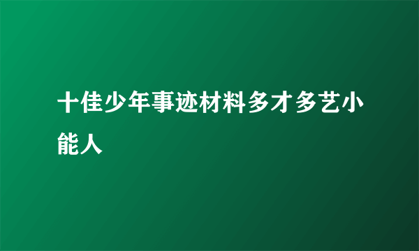 十佳少年事迹材料多才多艺小能人