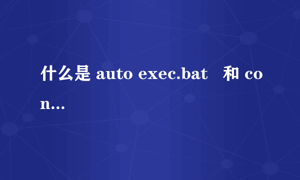 什么是 auto exec.bat   和 config.sys 文件