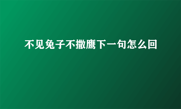 不见兔子不撒鹰下一句怎么回