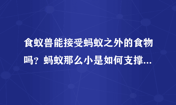 食蚁兽能接受蚂蚁之外的食物吗？蚂蚁那么小是如何支撑食蚁兽庞大身躯的？