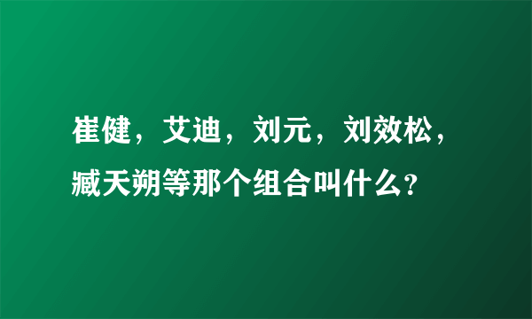 崔健，艾迪，刘元，刘效松，臧天朔等那个组合叫什么？