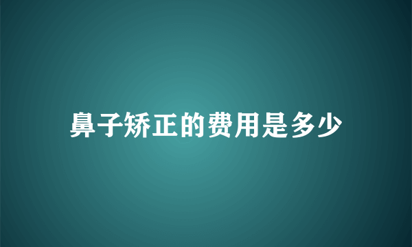 鼻子矫正的费用是多少