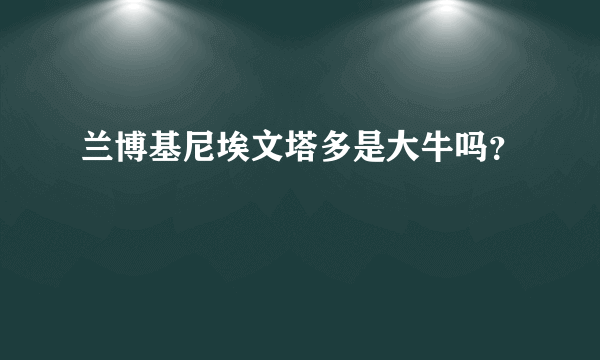 兰博基尼埃文塔多是大牛吗？