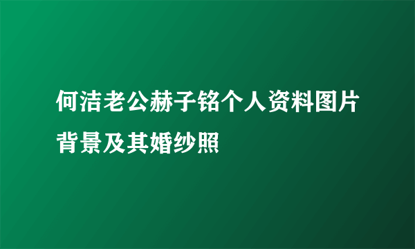 何洁老公赫子铭个人资料图片背景及其婚纱照