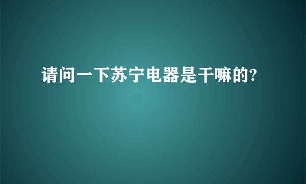 请问一下苏宁电器是干嘛的?