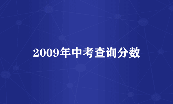 2009年中考查询分数