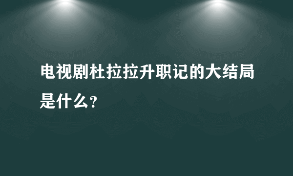 电视剧杜拉拉升职记的大结局是什么？