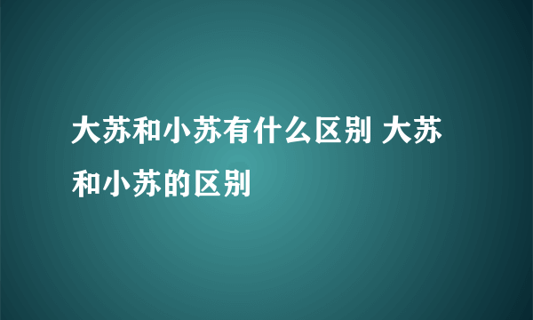 大苏和小苏有什么区别 大苏和小苏的区别