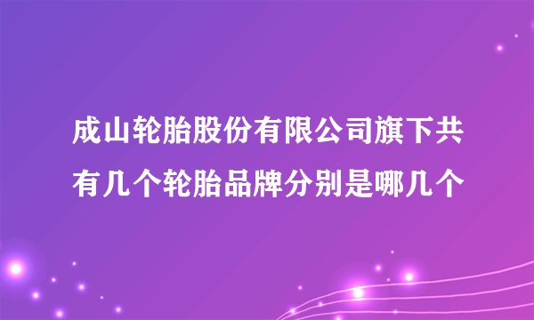 成山轮胎股份有限公司旗下共有几个轮胎品牌分别是哪几个