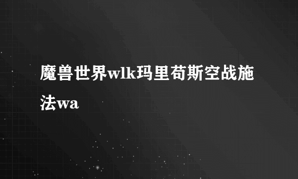 魔兽世界wlk玛里苟斯空战施法wa