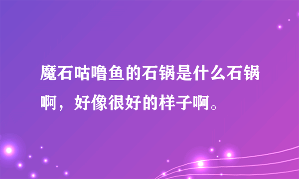 魔石咕噜鱼的石锅是什么石锅啊，好像很好的样子啊。