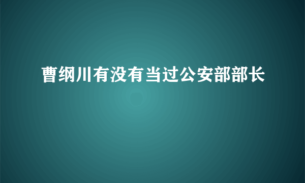 曹纲川有没有当过公安部部长